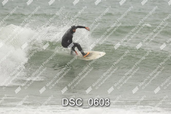DSC_0603.jpg