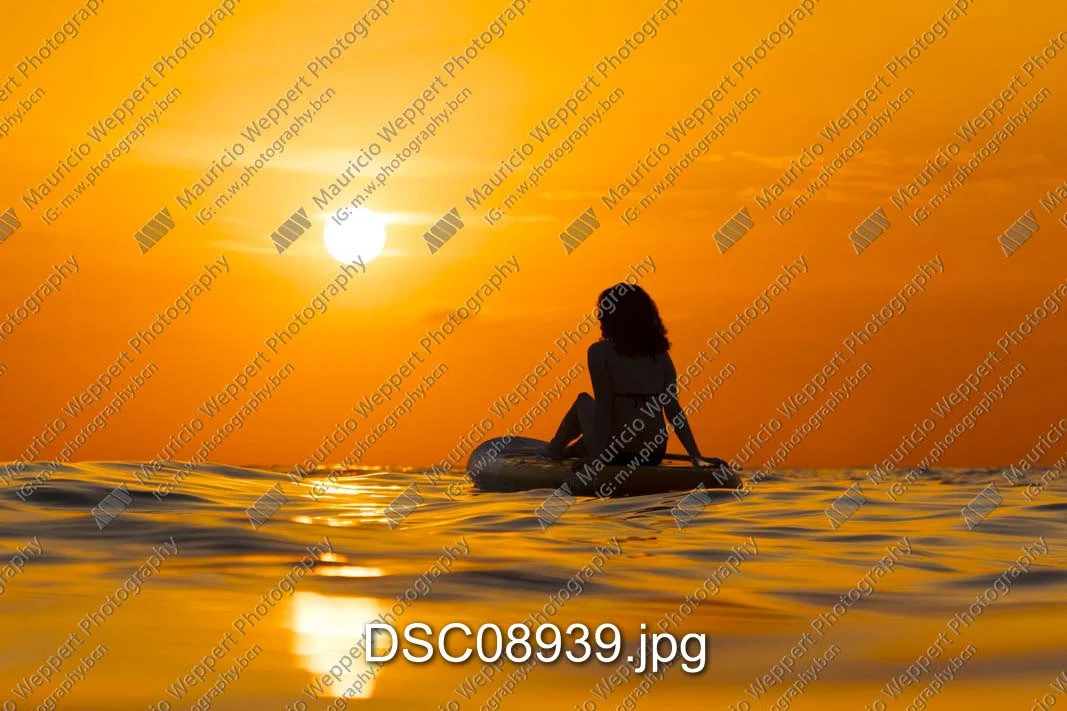 DSC08939.jpg