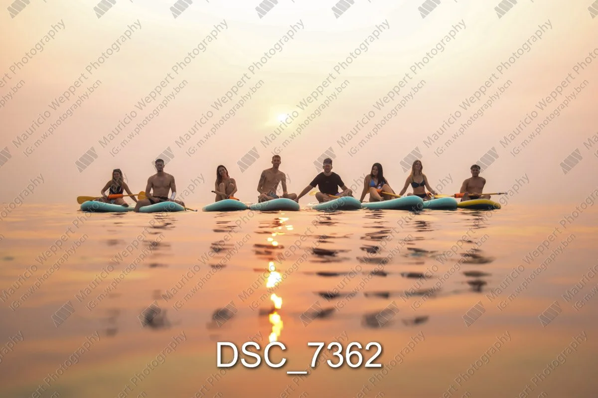 DSC_7362.jpg