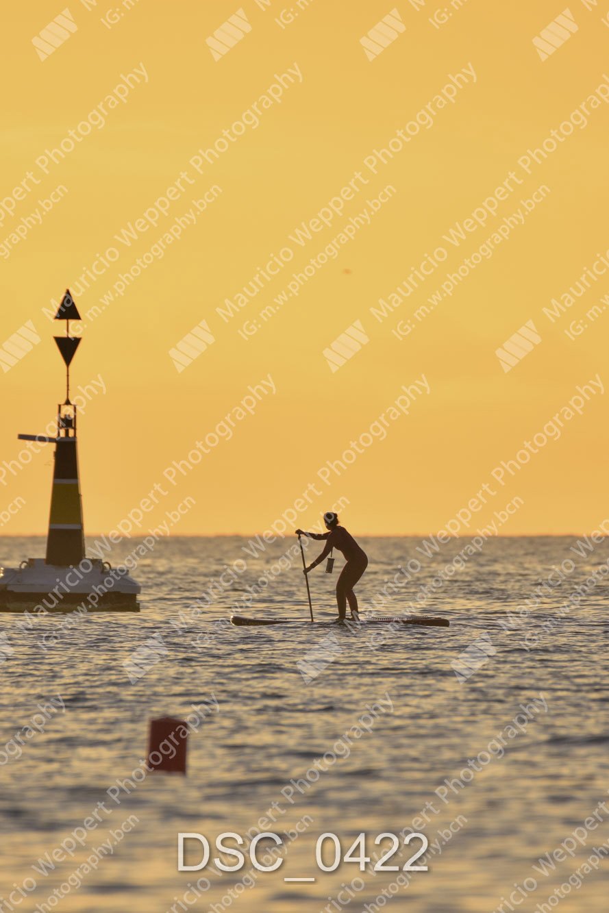 DSC_0422.jpg