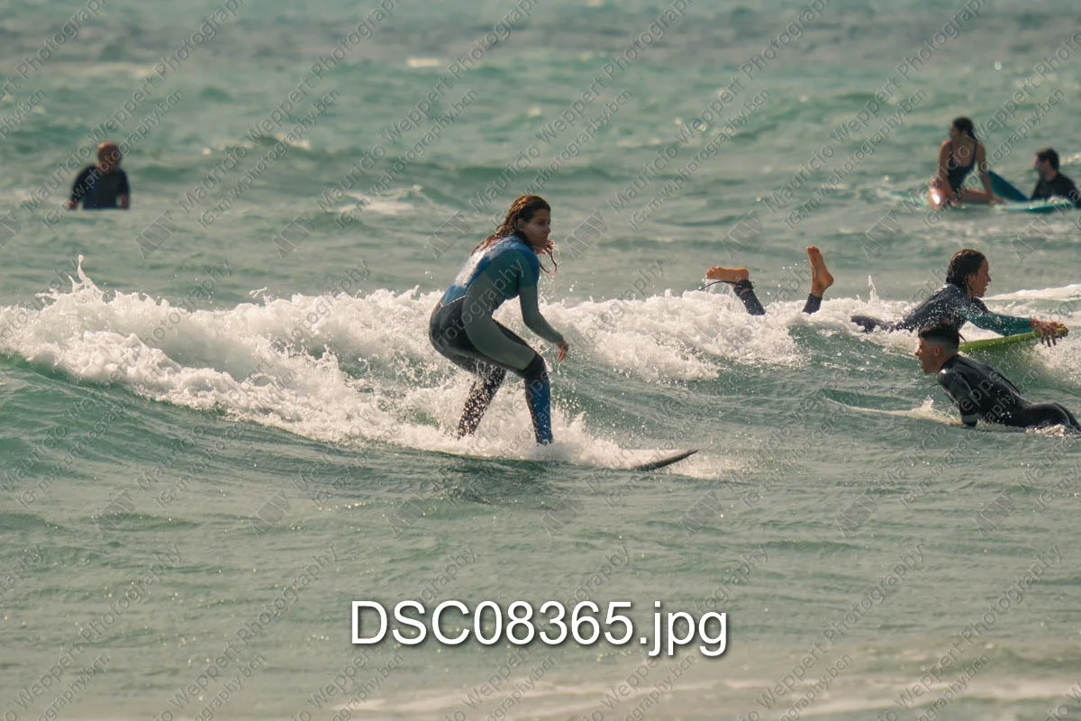 DSC08365.jpg