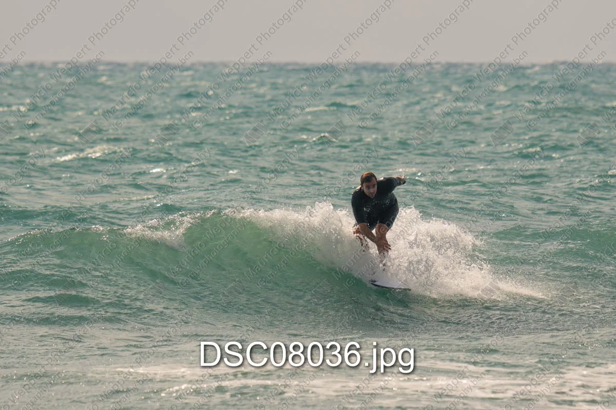 DSC08036.jpg
