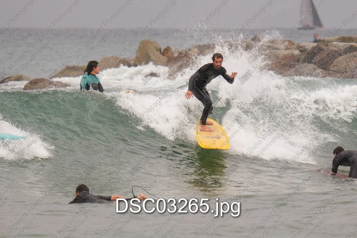 DSC03265.jpg