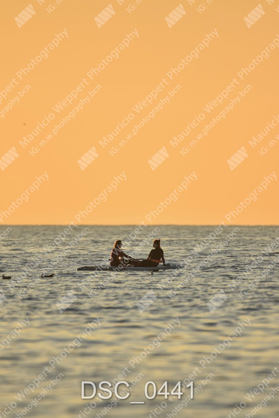 DSC_0441.jpg