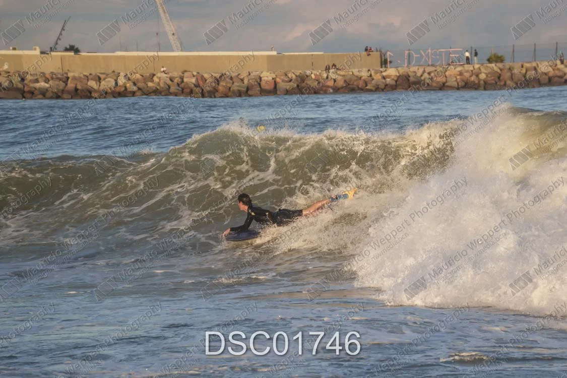 DSC01746.jpg