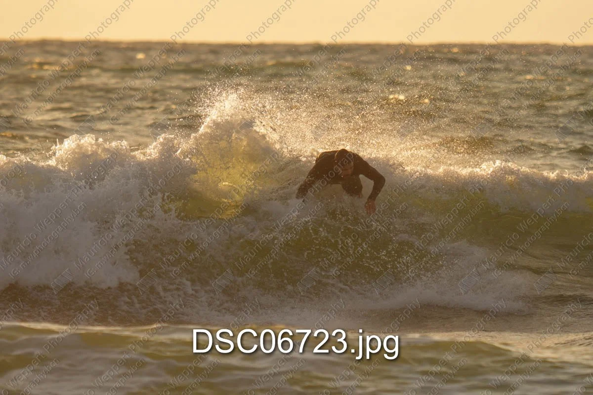 DSC06723.jpg