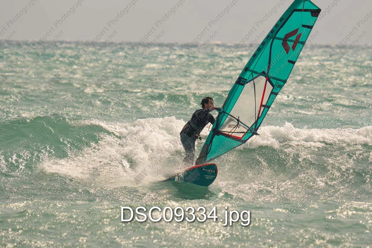 DSC09334.jpg