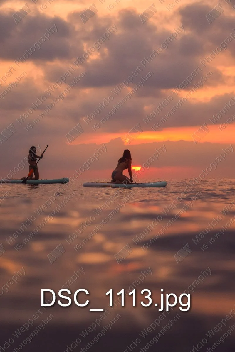 DSC_1113.jpg