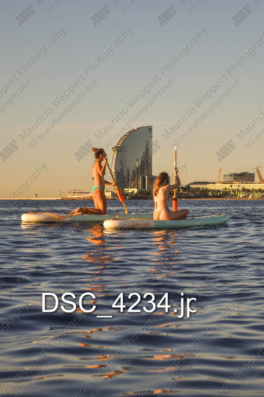DSC_4234.jpg