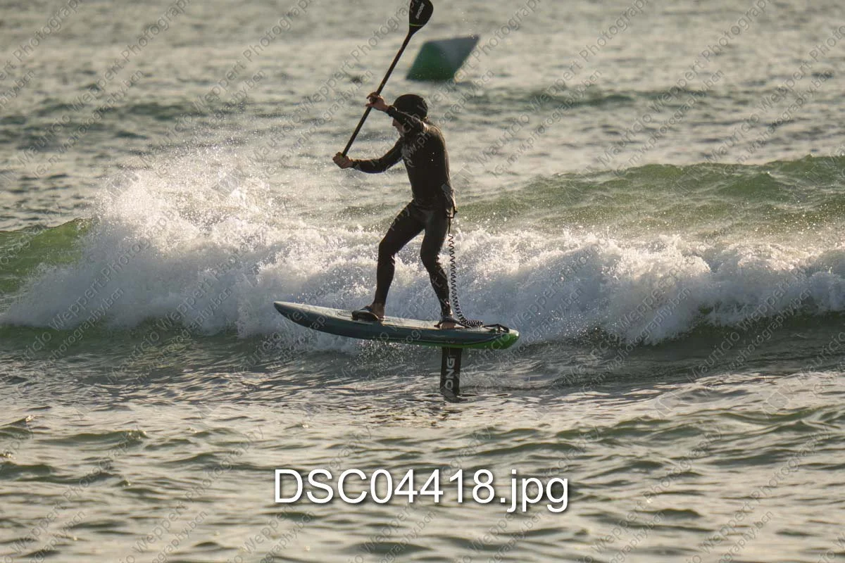DSC04418.jpg
