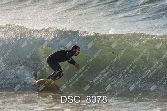 DSC_8378.jpg