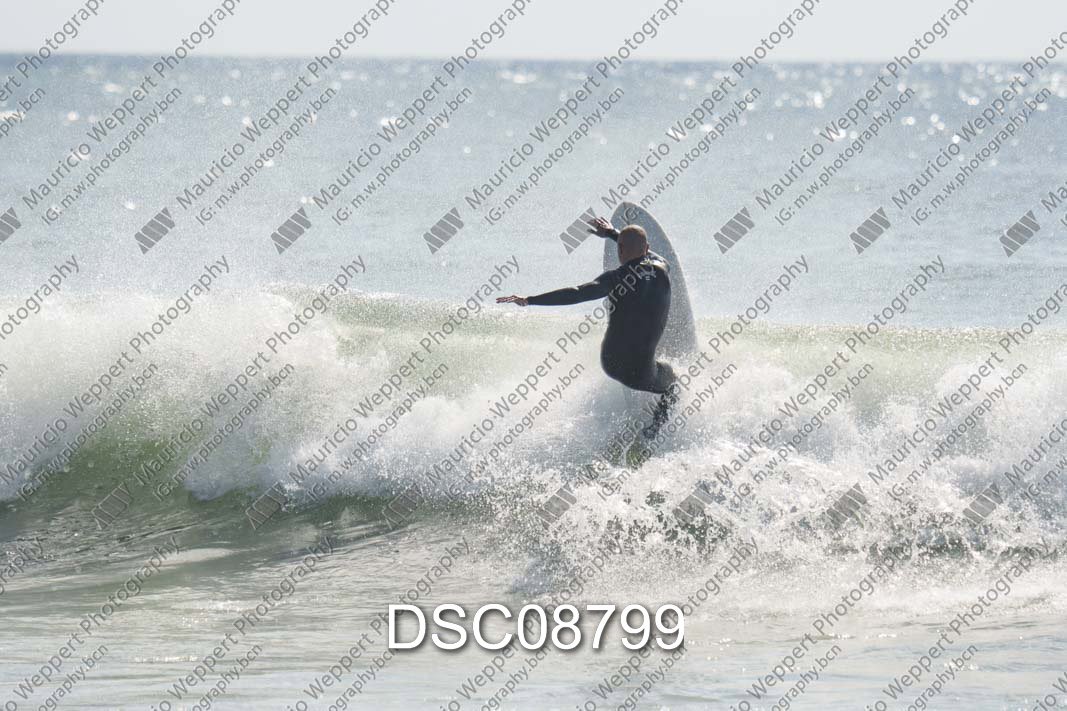 DSC08799.jpg