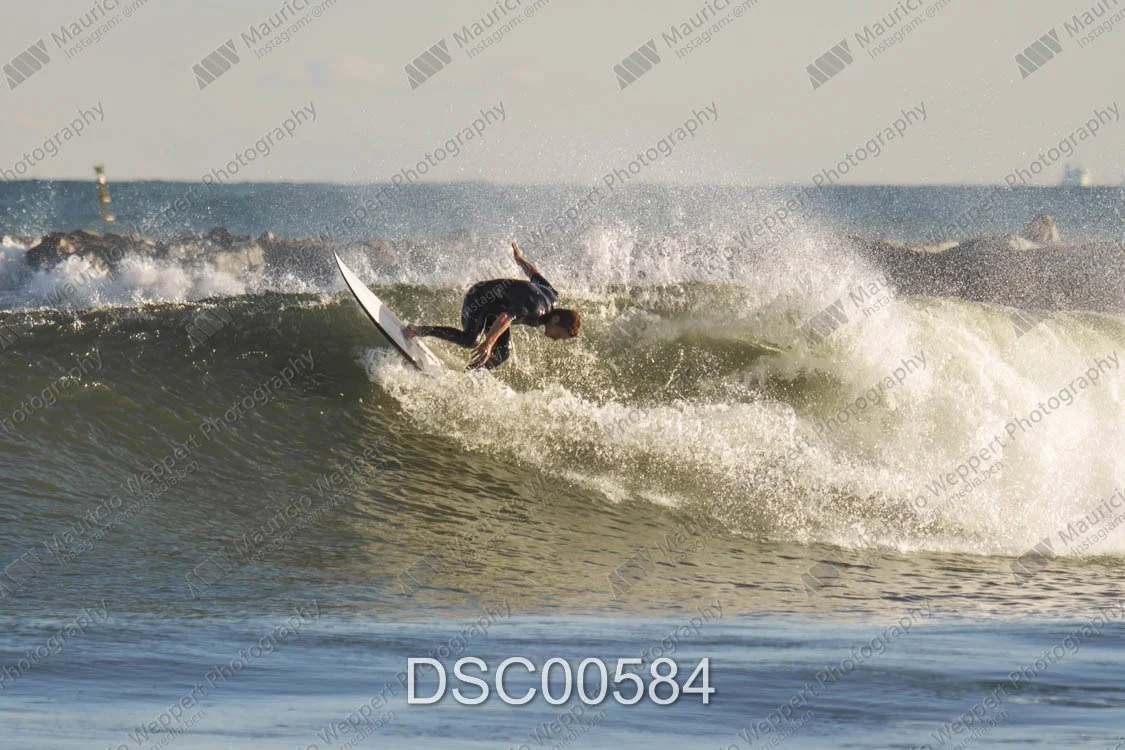 DSC00584.jpg