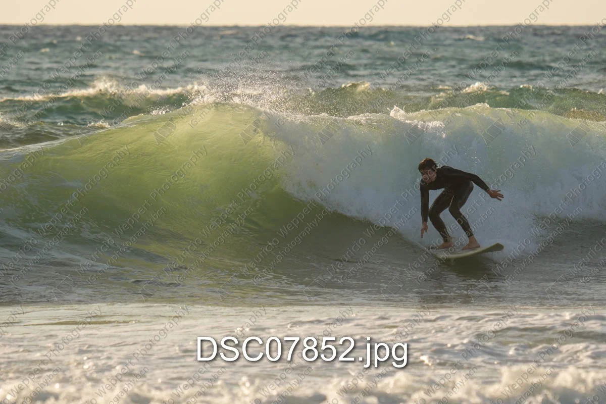 DSC07852.jpg