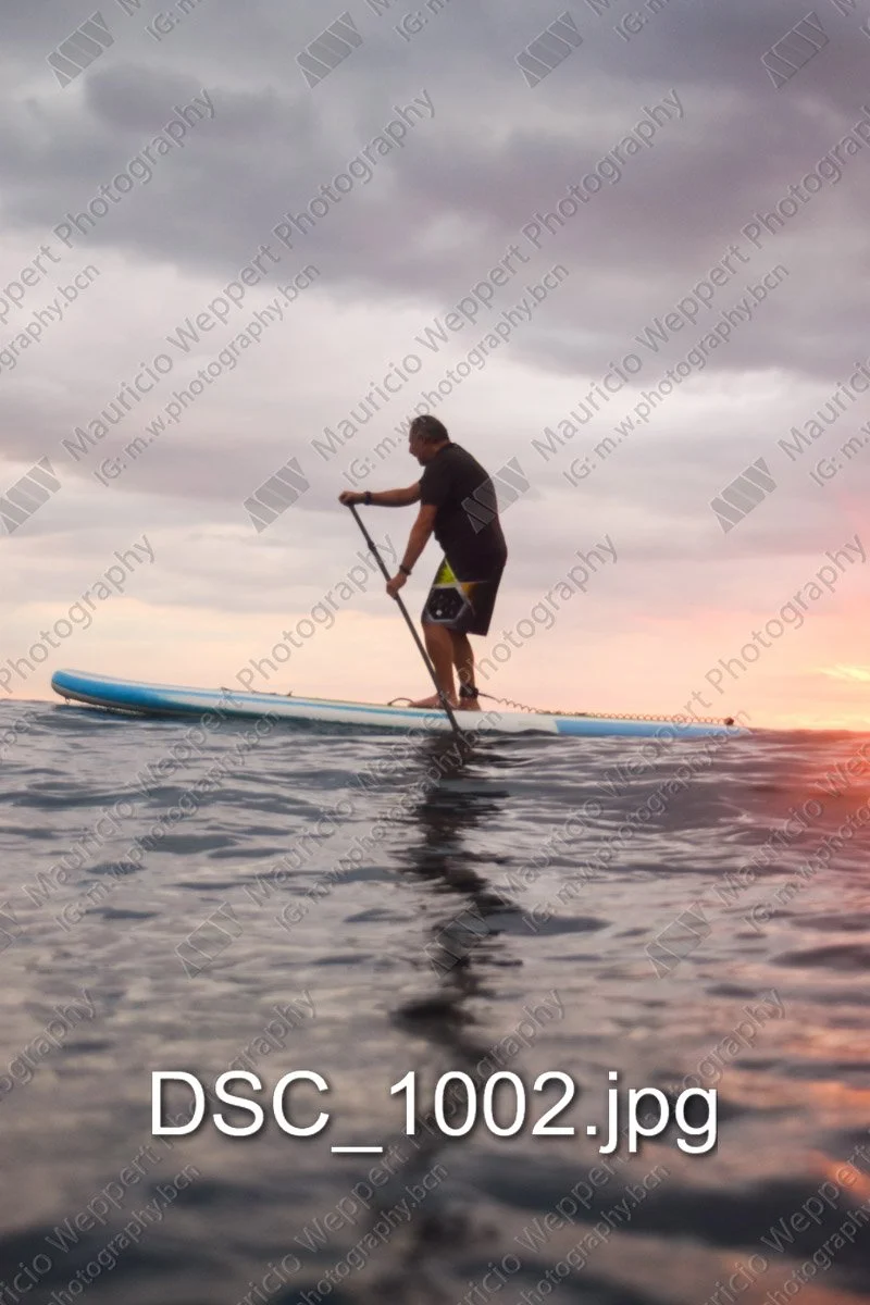 DSC_1002.jpg