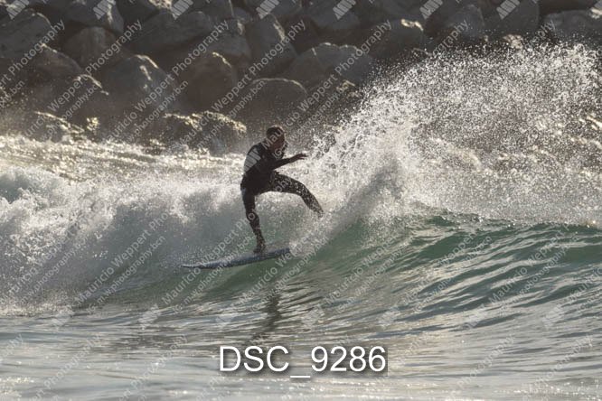 DSC_9286.jpg