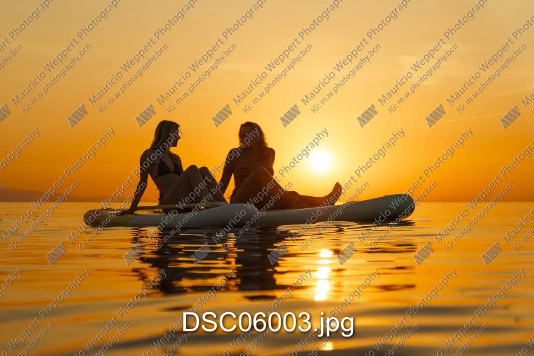 DSC06003.jpg