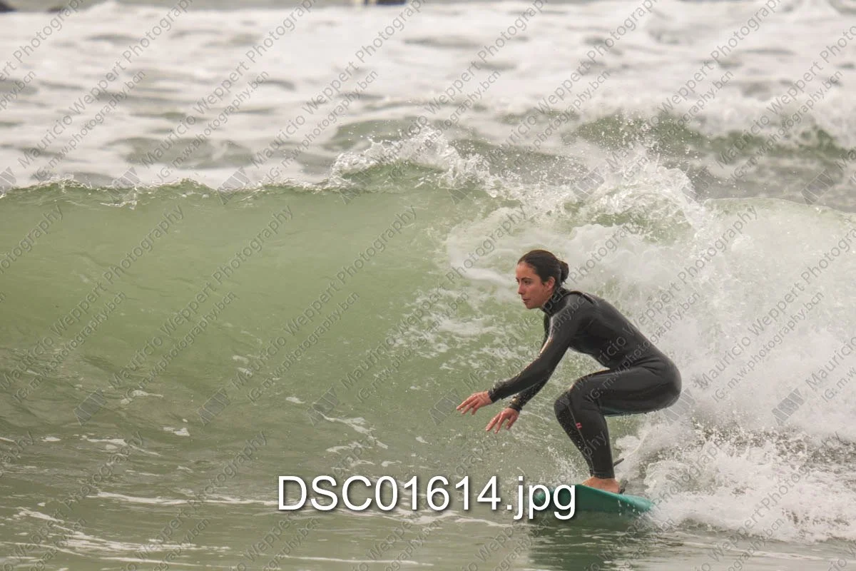 DSC01614.jpg