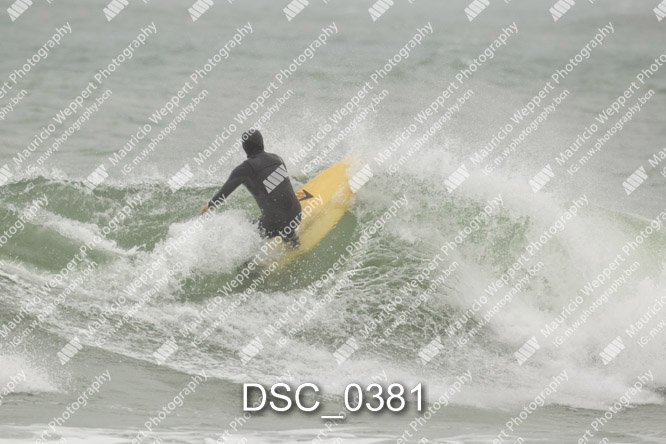 DSC_0381.jpg