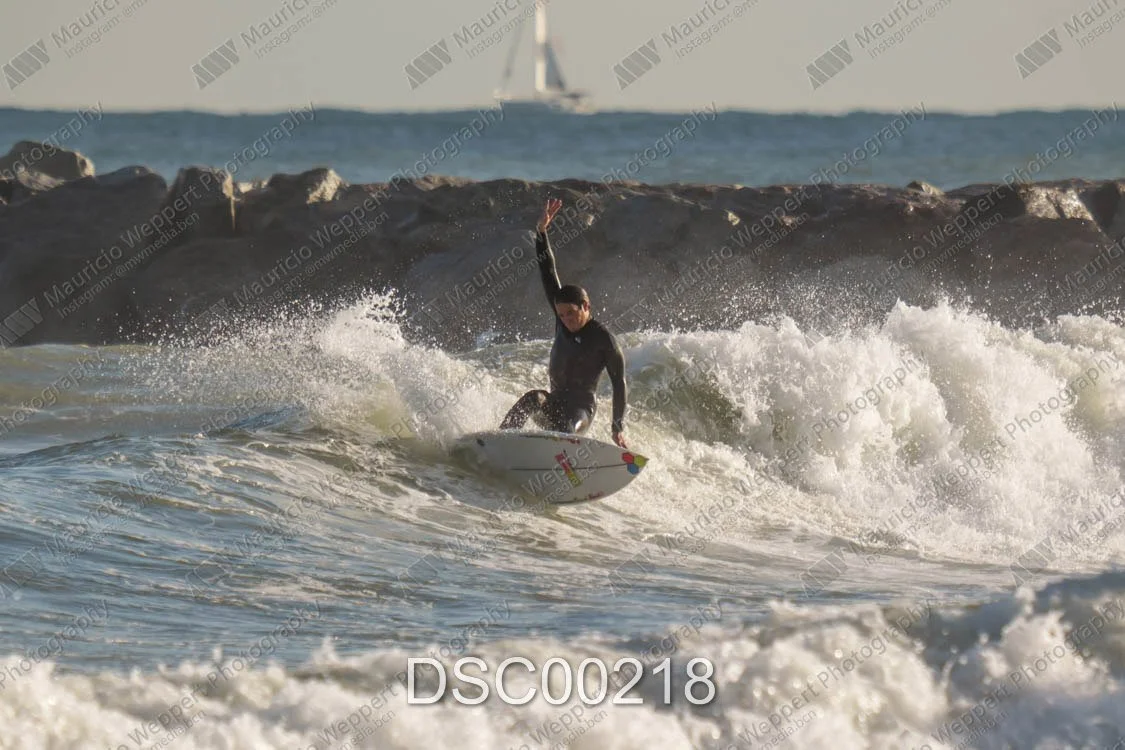DSC00218.jpg