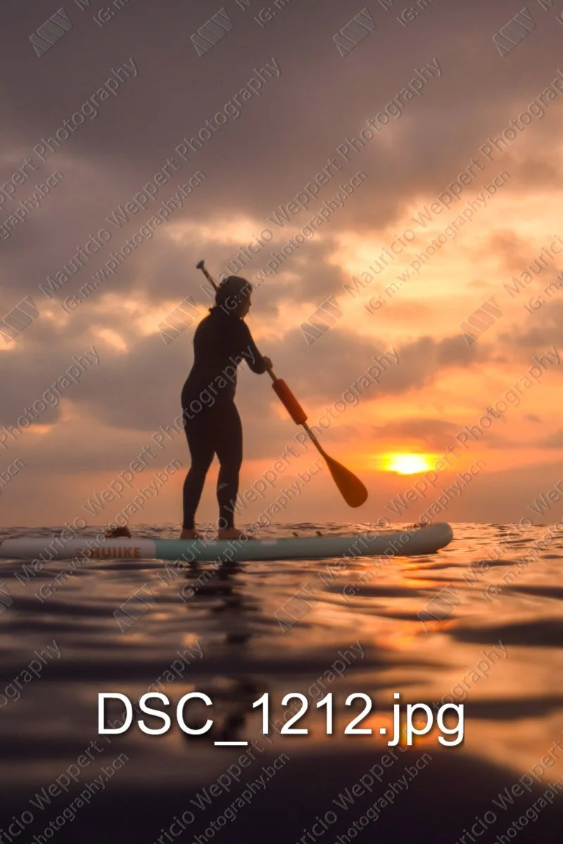 DSC_1212.jpg