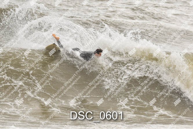 DSC_0601.jpg