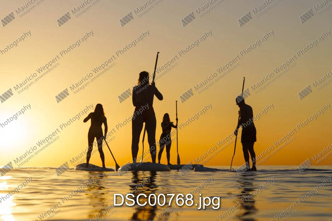 DSC00768.jpg