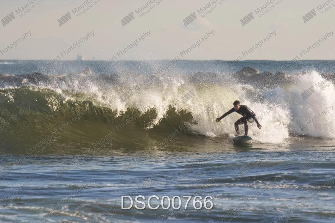 DSC00766.jpg