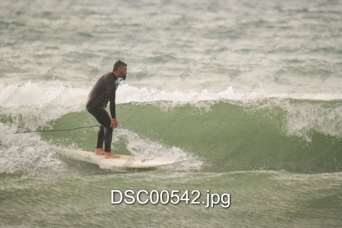 DSC00542.jpg