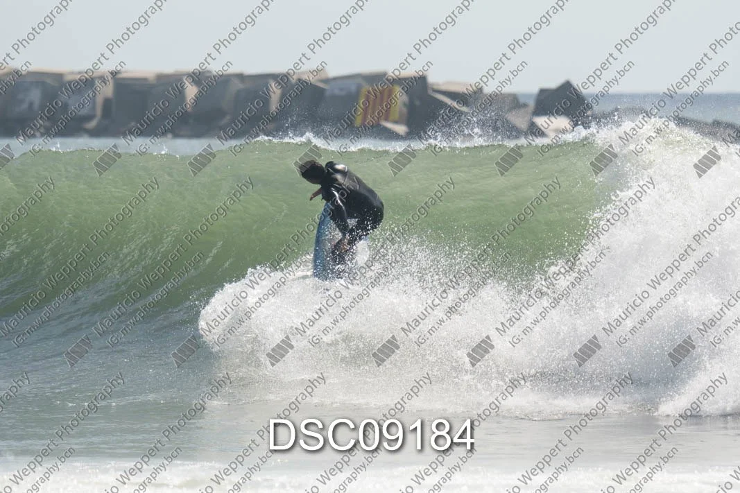 DSC09184.jpg