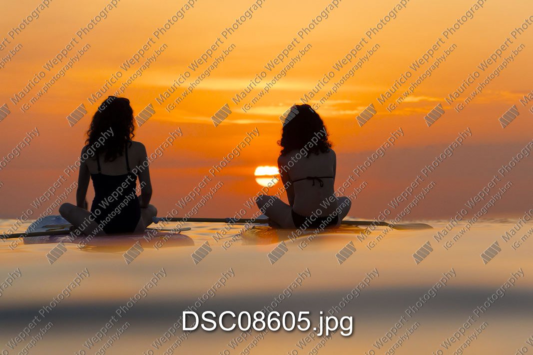 DSC08605.jpg