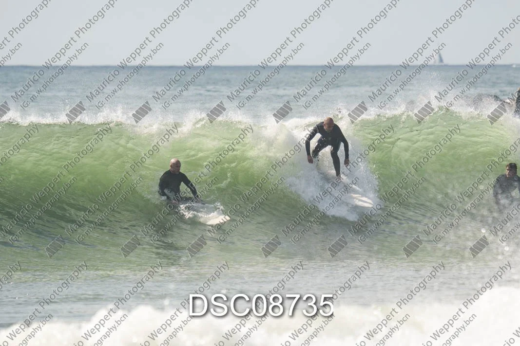 DSC08735.jpg