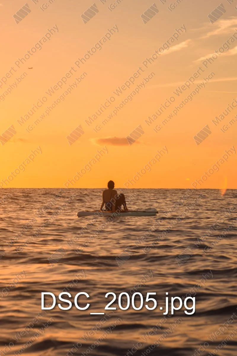DSC_2005.jpg