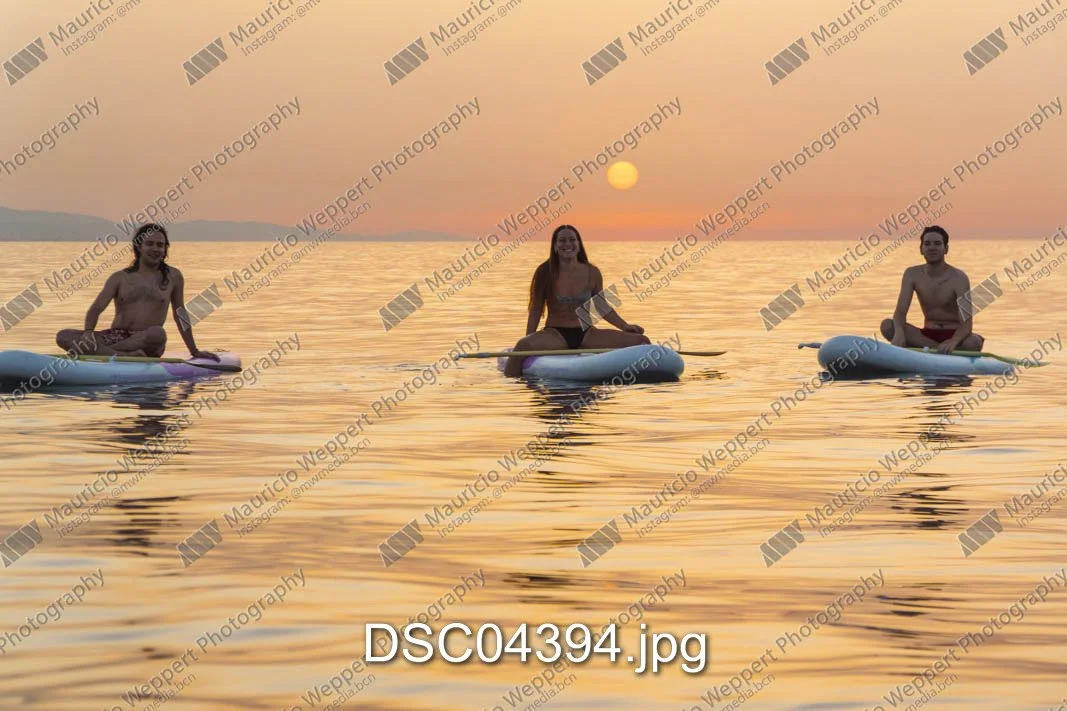 DSC04394.jpg
