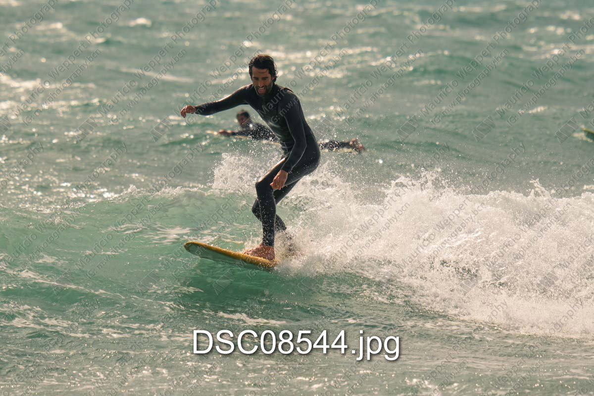 DSC08544.jpg