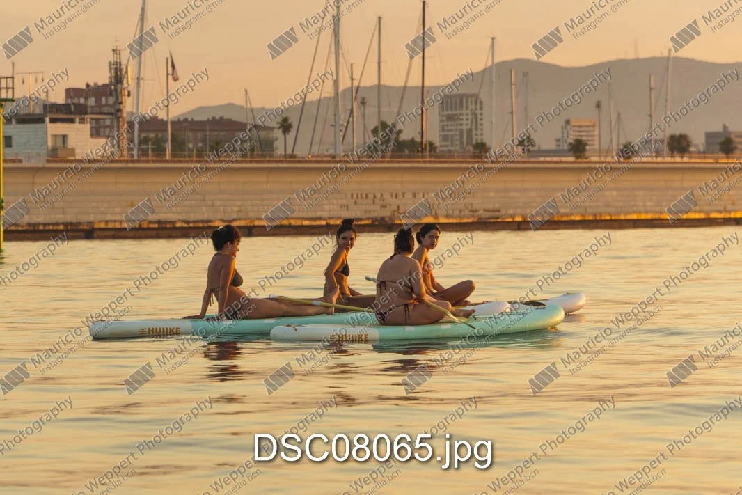 DSC08065.jpg