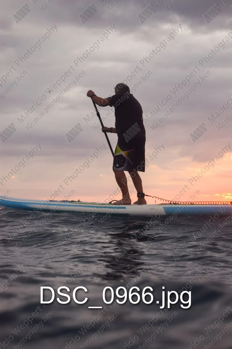 DSC_0966.jpg