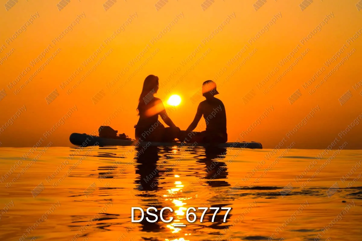 DSC_6777.jpg