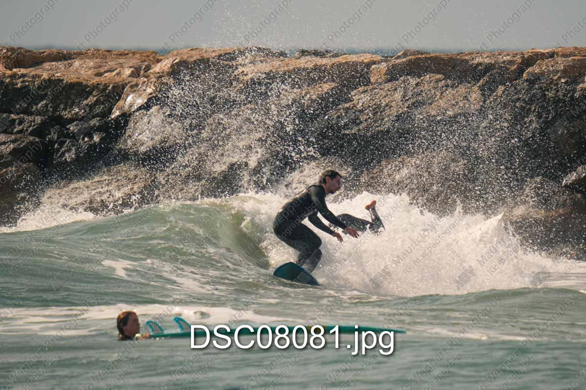 DSC08081.jpg