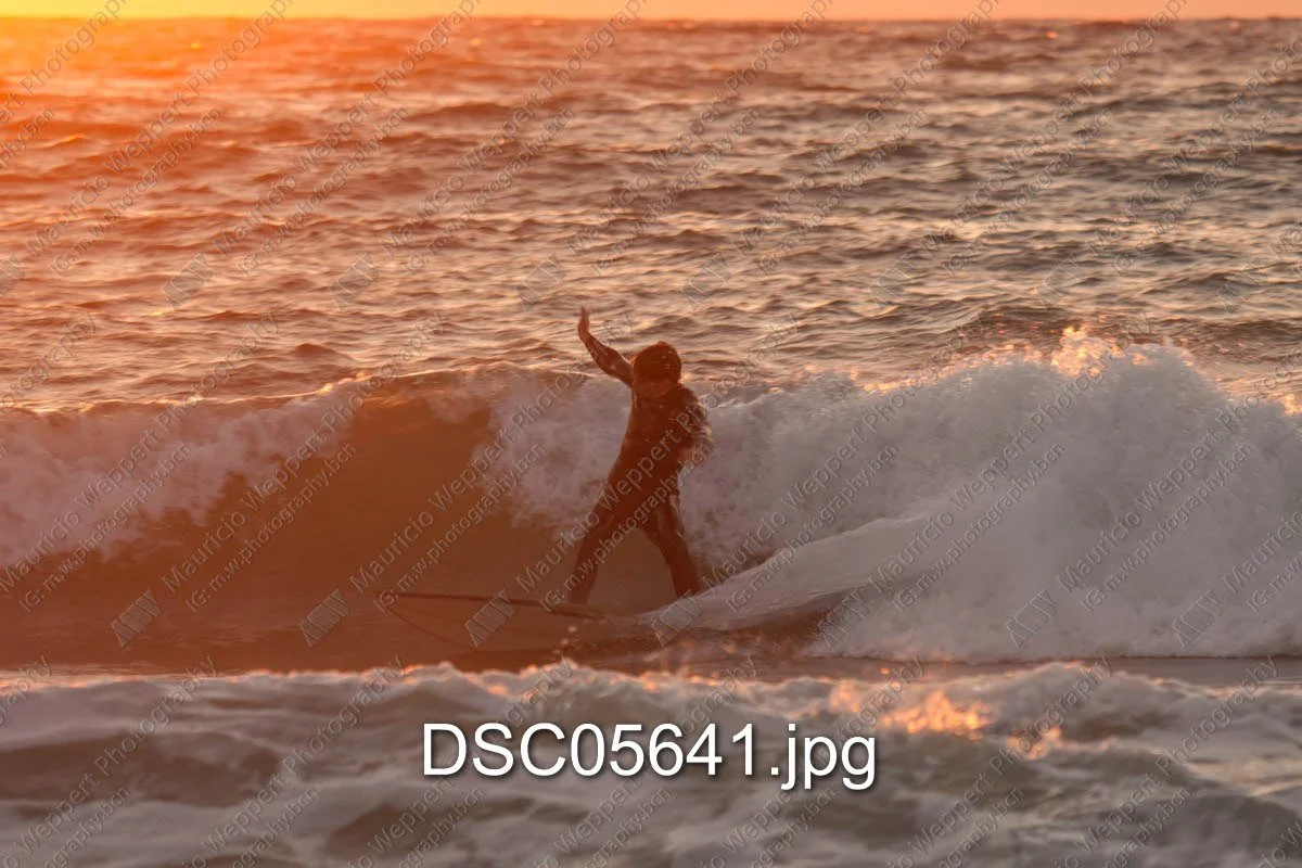 DSC05641.jpg