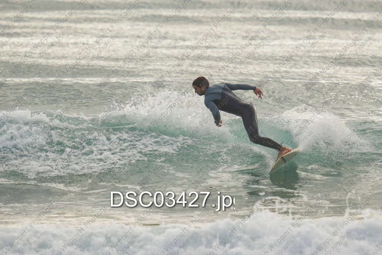 DSC03427.jpg