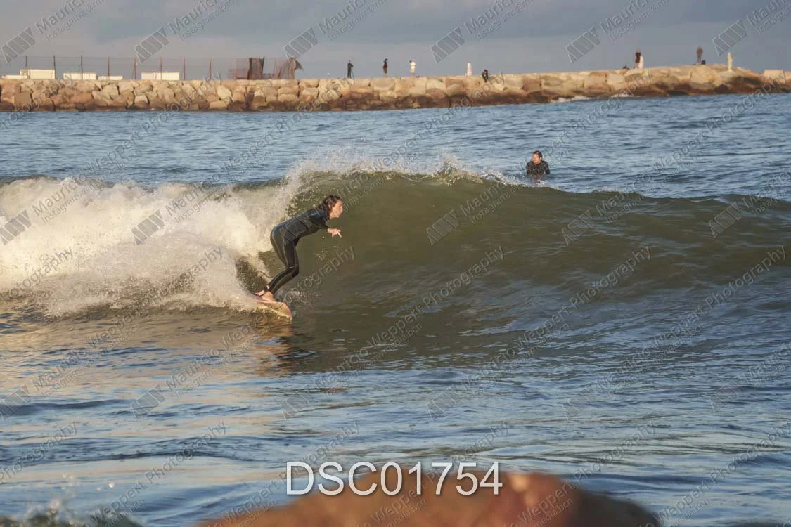 DSC01754.jpg