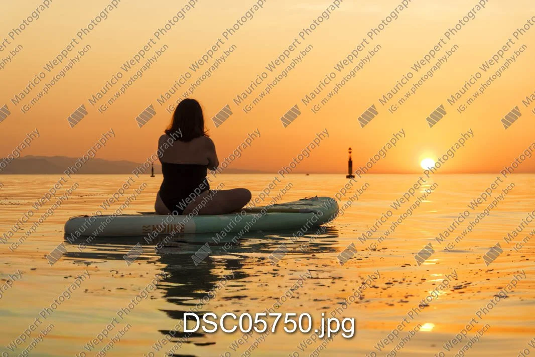 DSC05750.jpg