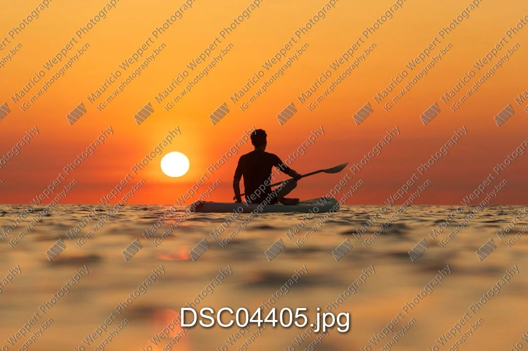 DSC04405.jpg
