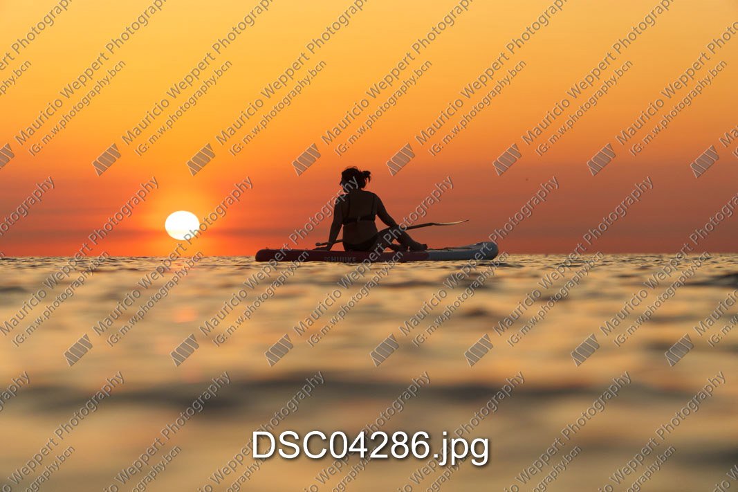DSC04286.jpg