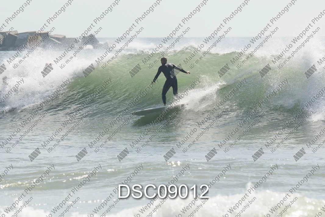 DSC09012.jpg