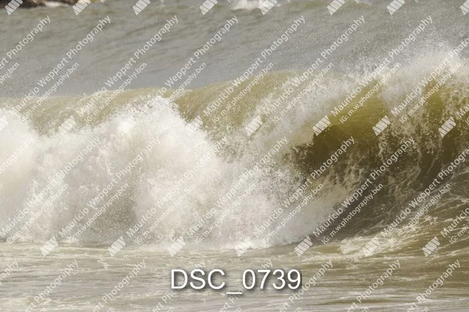 DSC_0739.jpg
