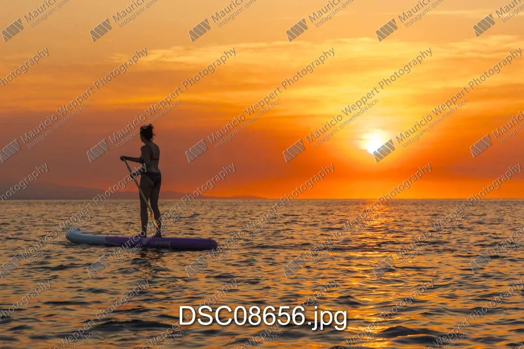 DSC08656.jpg