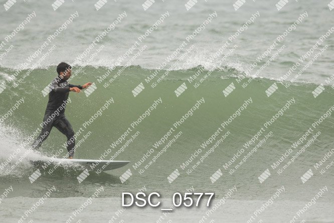 DSC_0577.jpg