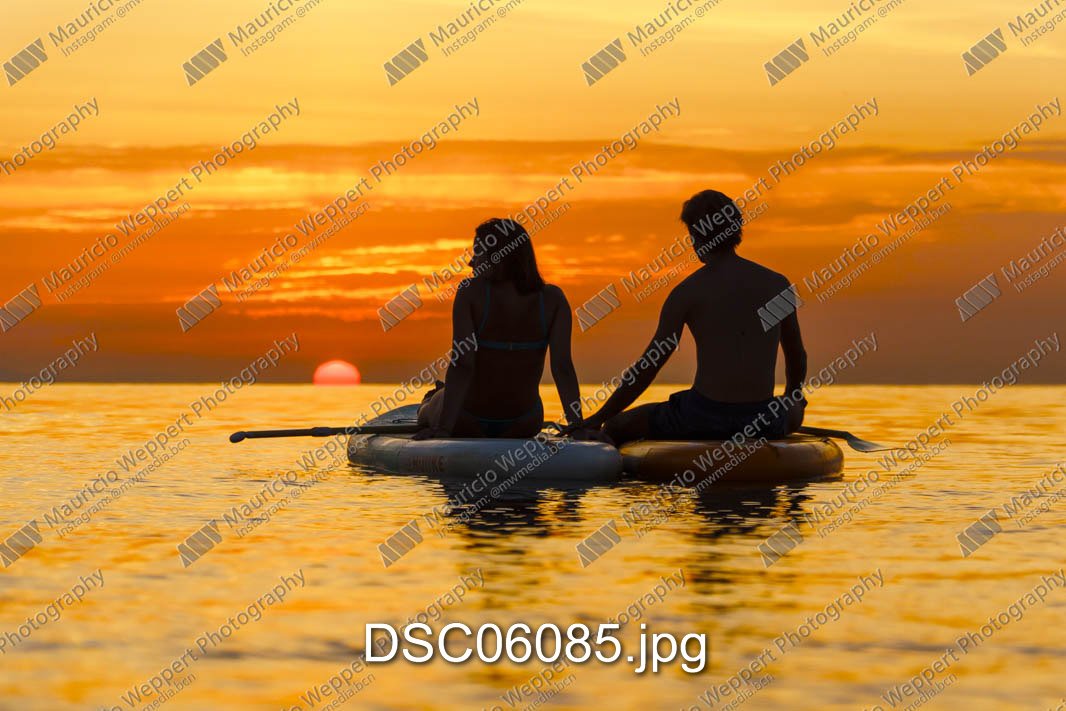 DSC06085.jpg